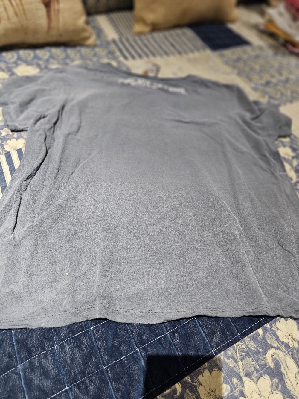 Magnolia Pearl Rays Of Glory Ozzy Tee, NWT - Picture 2 of 5